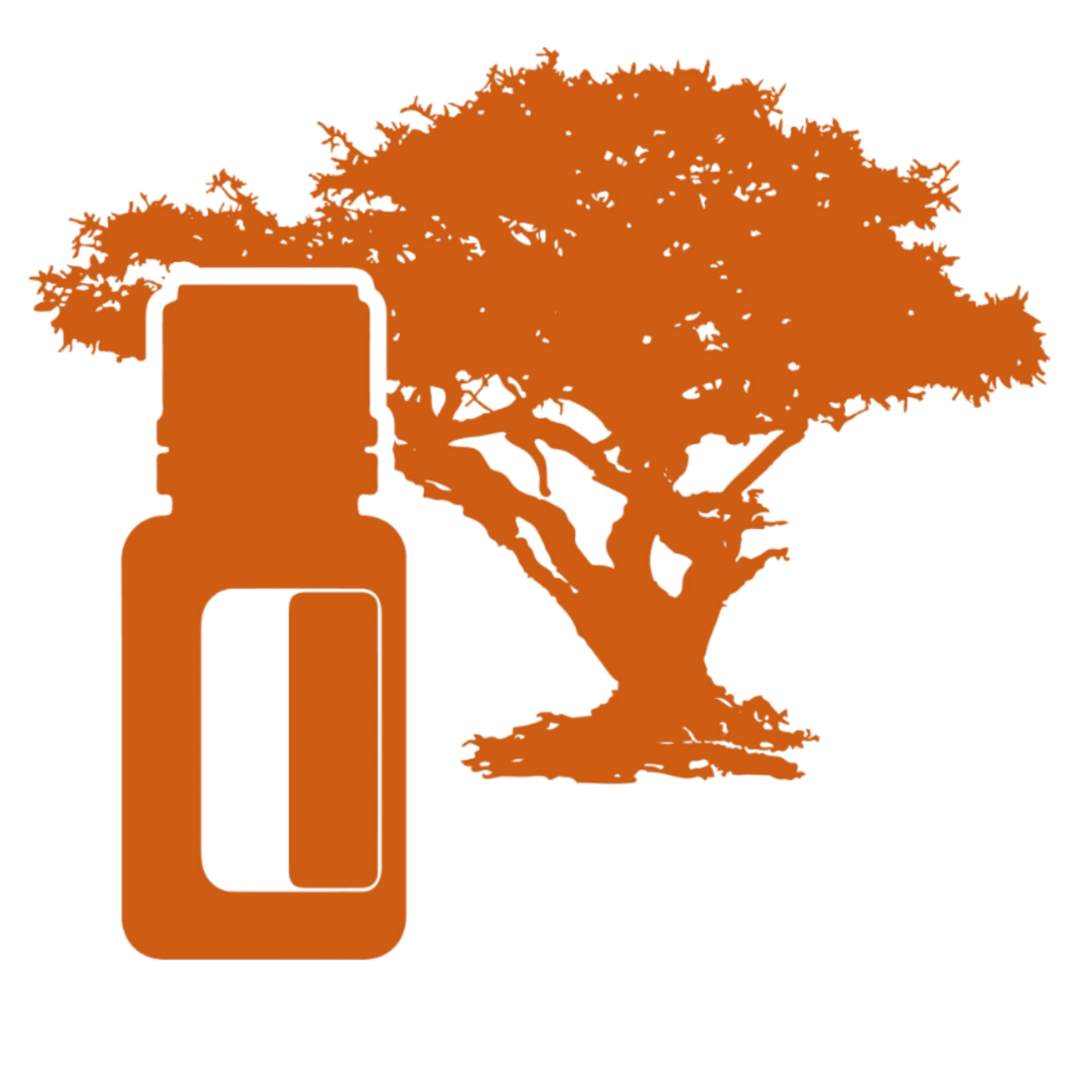 A tömjénolaj előállításának története