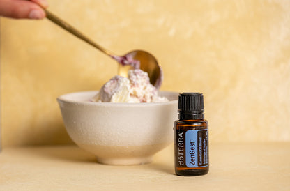 zengest everyday 975x642 eu