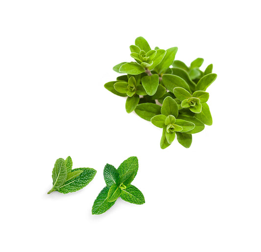 lipbalmherbal whats inside 1085x1050 eu