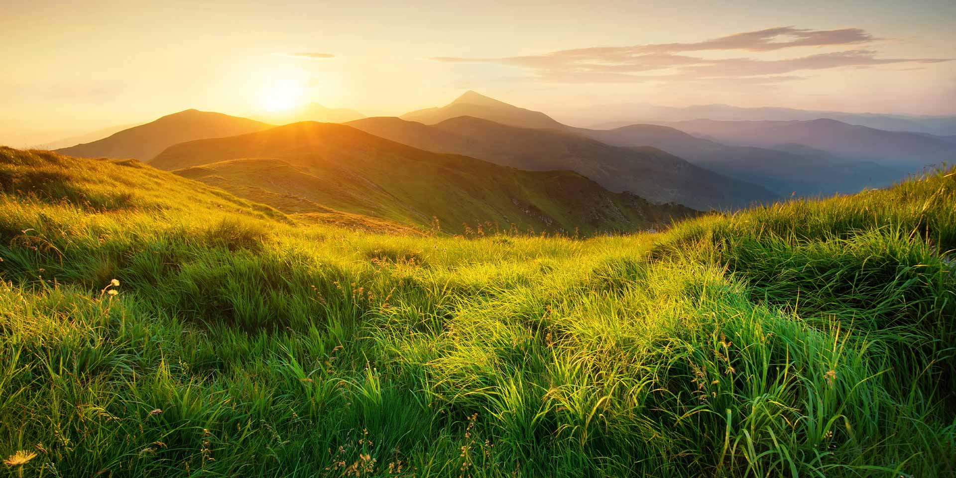 doterra air 15ml illóolaj keverék