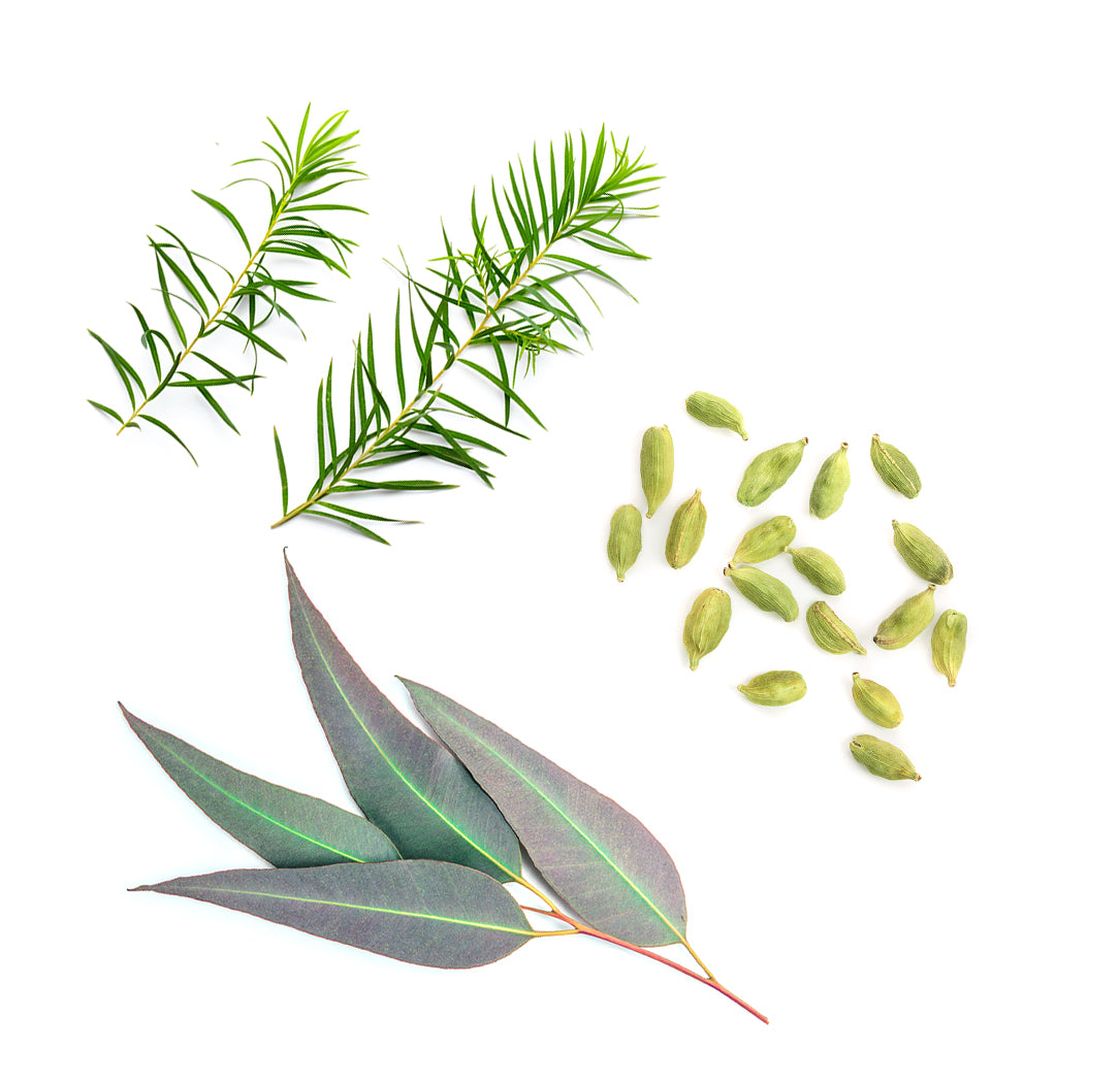 doterra air illóolaj keverék mi van benne