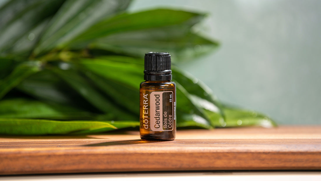 Doterra Vörös cédrus (Cedarwood) illóolaj 15 ml