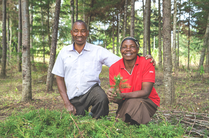 cypress sourcing 1050x693 eu