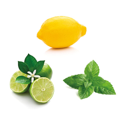 Island Mint Summertime Blend 15 ml - doTERRA 